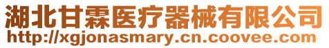 湖北甘霖醫療器械有限公司