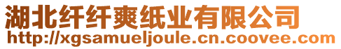 湖北纖纖爽紙業(yè)有限公司