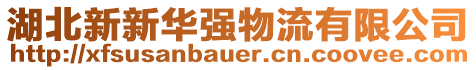 湖北新新華強(qiáng)物流有限公司