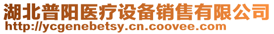 湖北普陽醫(yī)療設(shè)備銷售有限公司