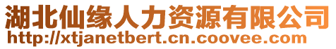 湖北仙緣人力資源有限公司