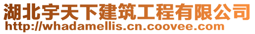 湖北宇天下建筑工程有限公司