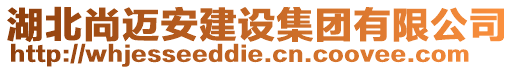 湖北尚邁安建設(shè)集團(tuán)有限公司