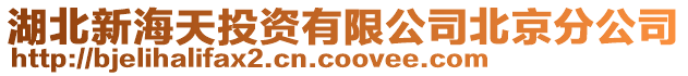 湖北新海天投資有限公司北京分公司