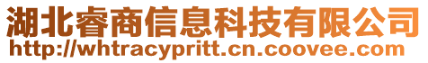 湖北睿商信息科技有限公司