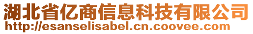 湖北省億商信息科技有限公司