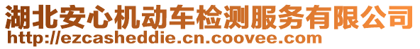 湖北安心機動車檢測服務有限公司