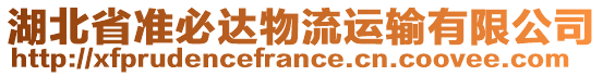 湖北省準(zhǔn)必達(dá)物流運(yùn)輸有限公司