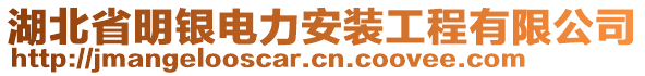 湖北省明銀電力安裝工程有限公司