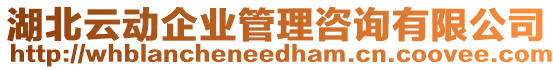 湖北云動(dòng)企業(yè)管理咨詢(xún)有限公司