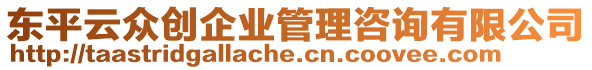 東平云眾創(chuàng)企業(yè)管理咨詢有限公司