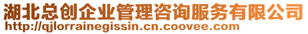 湖北總創(chuàng)企業(yè)管理咨詢服務(wù)有限公司