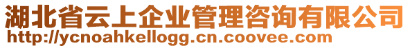 湖北省云上企業(yè)管理咨詢有限公司