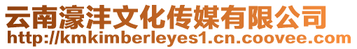 云南濠灃文化傳媒有限公司