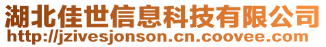 湖北佳世信息科技有限公司