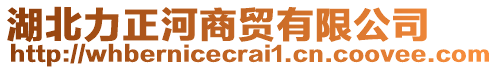 湖北力正河商貿(mào)有限公司