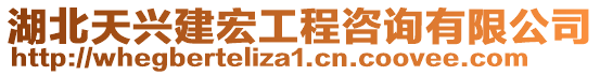 湖北天興建宏工程咨詢有限公司