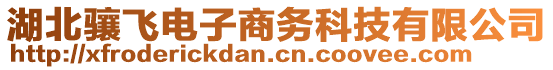 湖北驤飛電子商務(wù)科技有限公司