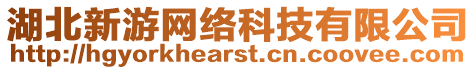 湖北新游網(wǎng)絡(luò)科技有限公司