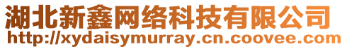 湖北新鑫網(wǎng)絡(luò)科技有限公司