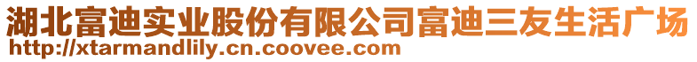 湖北富迪實業股份有限公司富迪三友生活廣場