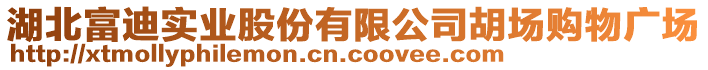 湖北富迪實業(yè)股份有限公司胡場購物廣場