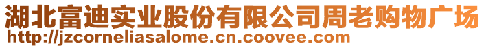 湖北富迪實業(yè)股份有限公司周老購物廣場