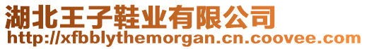 湖北王子鞋業(yè)有限公司