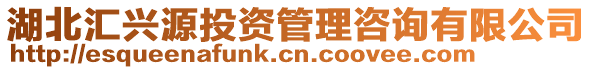 湖北匯興源投資管理咨詢有限公司