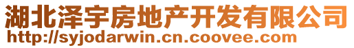 湖北澤宇房地產(chǎn)開發(fā)有限公司