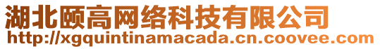 湖北頤高網(wǎng)絡(luò)科技有限公司