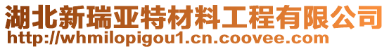 湖北新瑞亞特材料工程有限公司