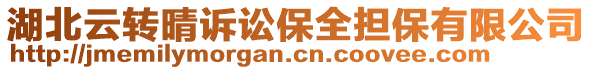 湖北云轉(zhuǎn)晴訴訟保全擔(dān)保有限公司