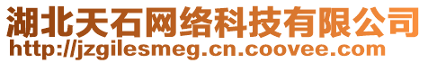 湖北天石網絡科技有限公司