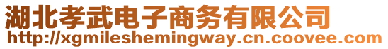 湖北孝武電子商務(wù)有限公司