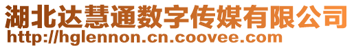 湖北達(dá)慧通數(shù)字傳媒有限公司