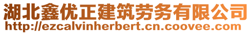 湖北鑫優(yōu)正建筑勞務(wù)有限公司