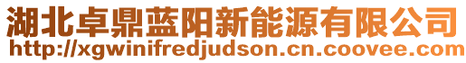 湖北卓鼎藍(lán)陽新能源有限公司