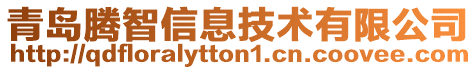 青島騰智信息技術(shù)有限公司