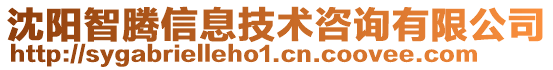 沈陽智騰信息技術咨詢有限公司