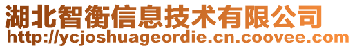 湖北智衡信息技術(shù)有限公司