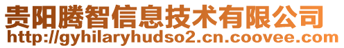 貴陽騰智信息技術(shù)有限公司