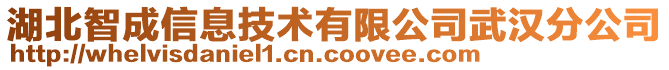 湖北智成信息技術(shù)有限公司武漢分公司