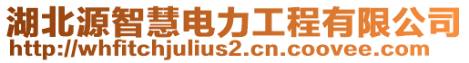 湖北源智慧電力工程有限公司