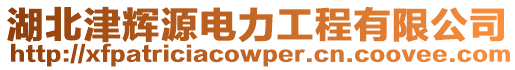 湖北津輝源電力工程有限公司