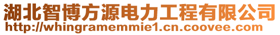 湖北智博方源電力工程有限公司