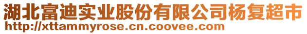 湖北富迪實(shí)業(yè)股份有限公司楊復(fù)超市