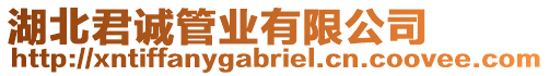 湖北君誠(chéng)管業(yè)有限公司