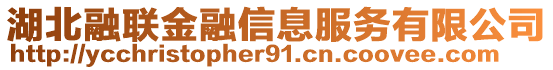 湖北融聯(lián)金融信息服務(wù)有限公司