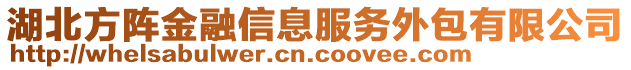 湖北方陣金融信息服務(wù)外包有限公司